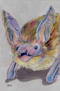 myotis_bechsteinii_72