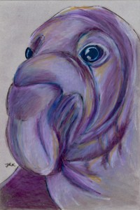 northern elephant seal