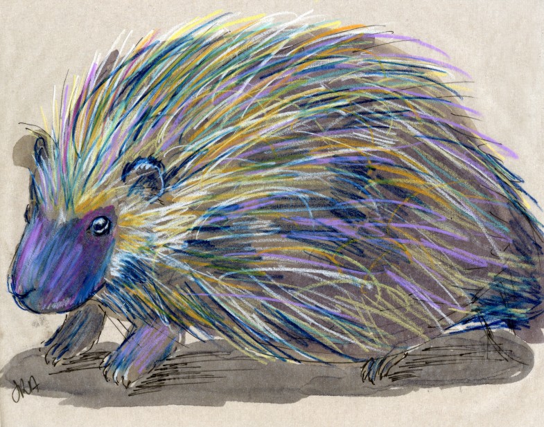 24 Hours: North American Porcupine (and who’s left?)