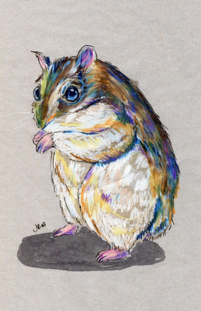 Back Orders: Campbell’s Russian Dwarf Hamster (Phodopus campbelli)