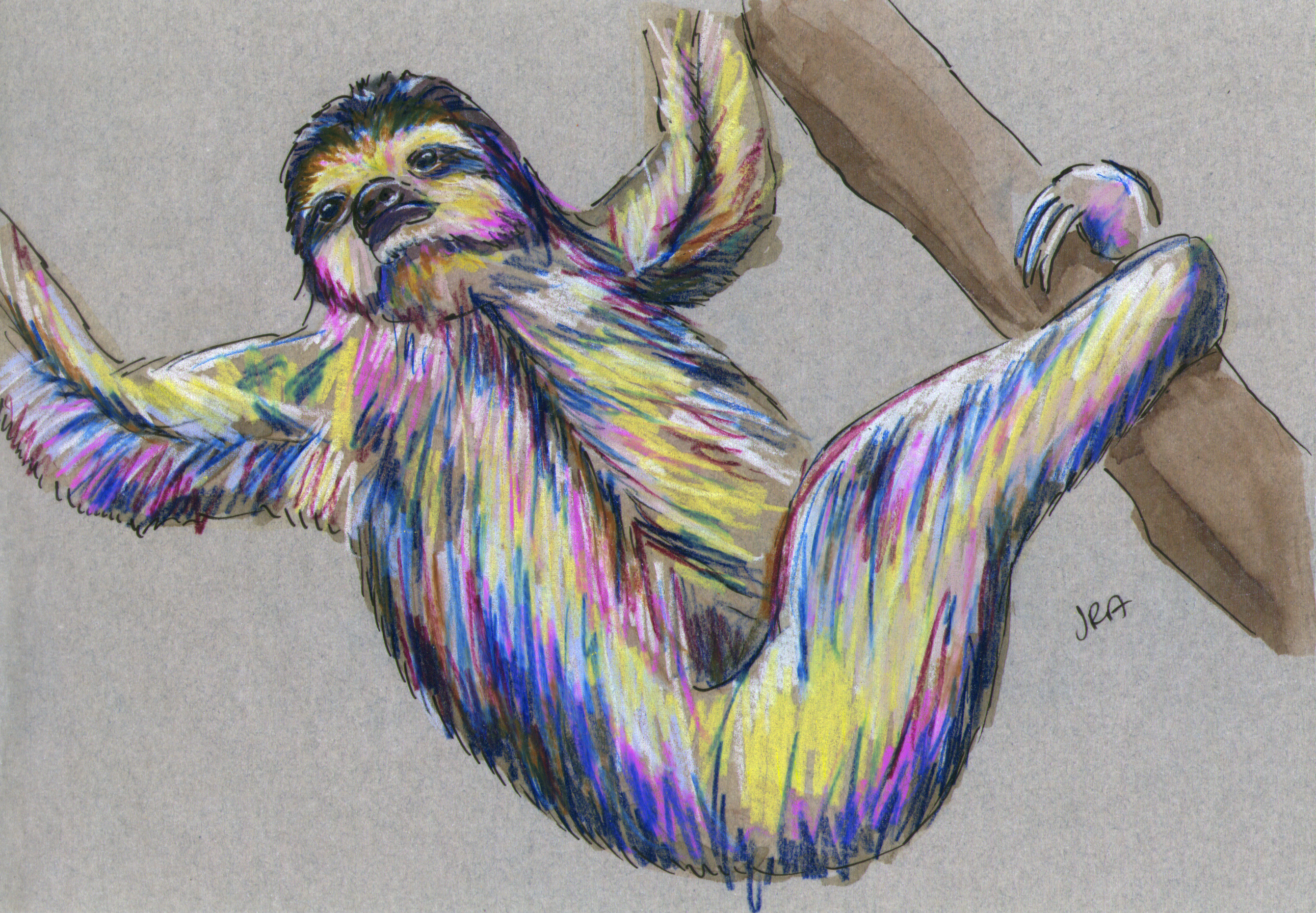 three toed sloth drawing