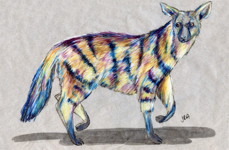 Striped Mammal Week: Aardwolf (Proteles cristata)