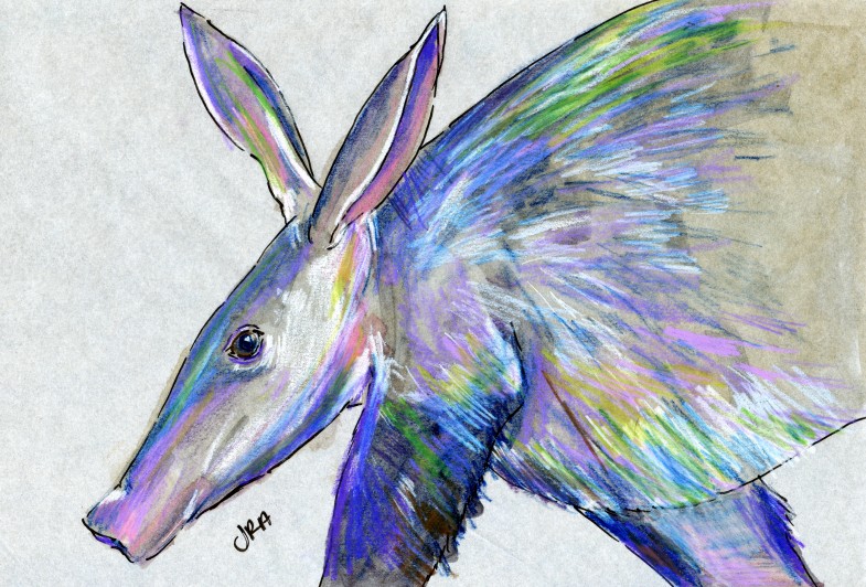 Aardvark (Orycteropus afer)