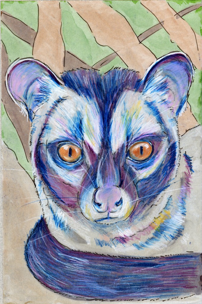 Coffee Achievers Days: Common Palm Civet (Paradoxurus hermaphroditus)