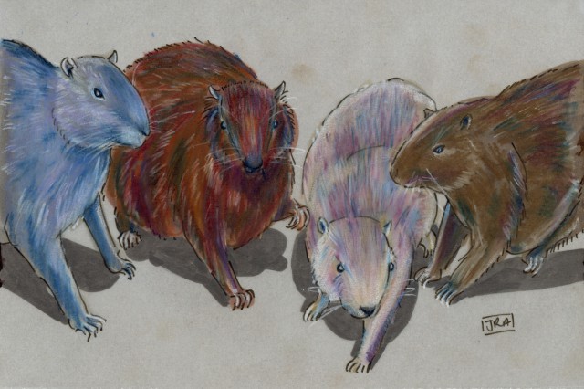 Hutias Four Ways (Capromyidae) | The Daily Mammal