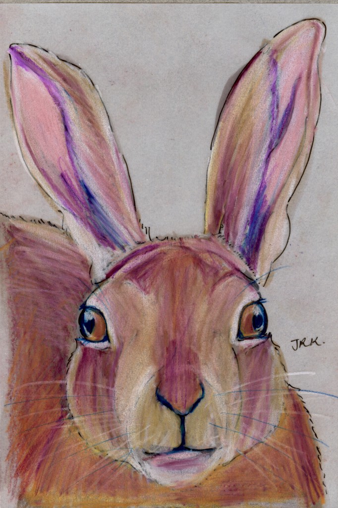 Lepus coreanus