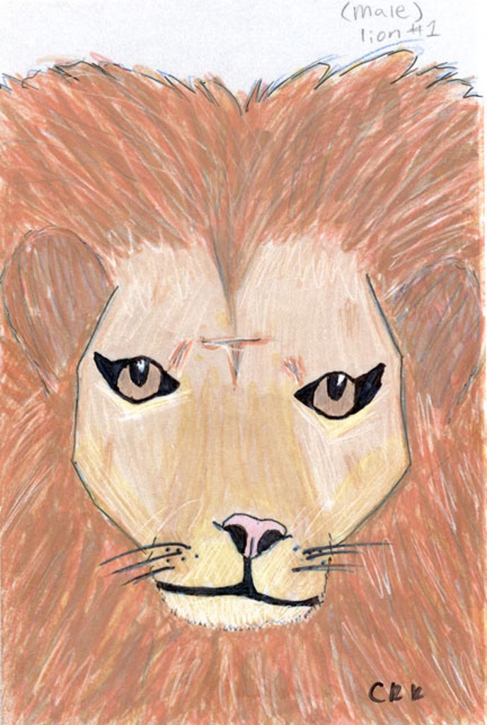 Lion (Panthera leo)