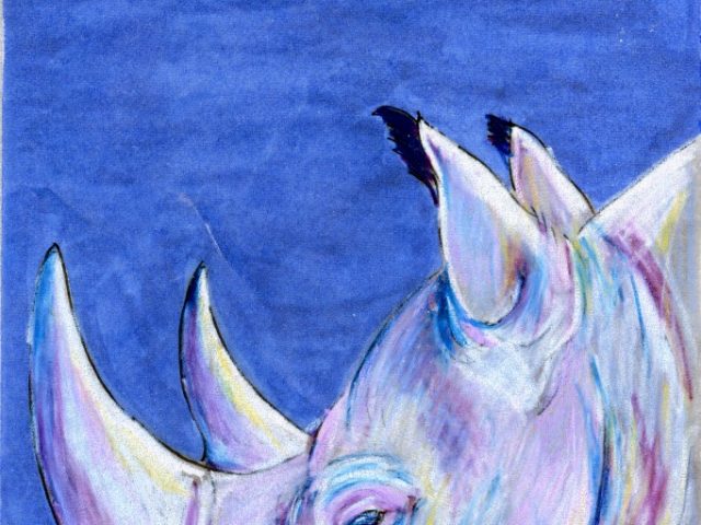 Scientific Names Week: Black Rhinoceros (Diceros bicornis)