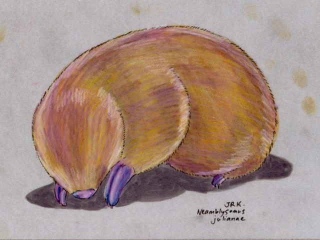 Juliana’s Golden Mole (Neamblysomus julianae)