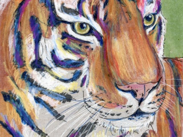 Mammalthon 2: Tiger (Panthera tigris)